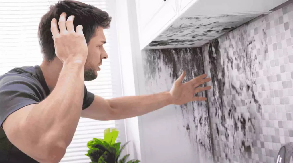 Mold Prevention in Home